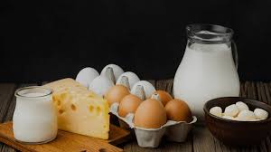 Dairy